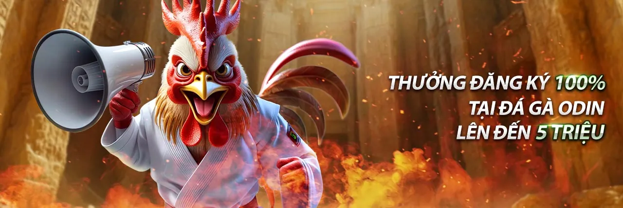 Cá cược thể thao với nhiều ưu đãi